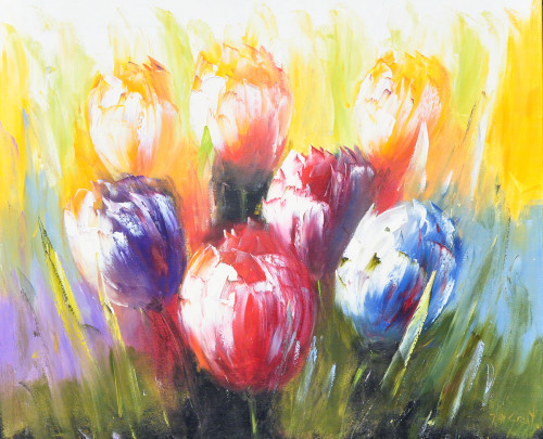 Jochem de Graaf + Colorful tulips